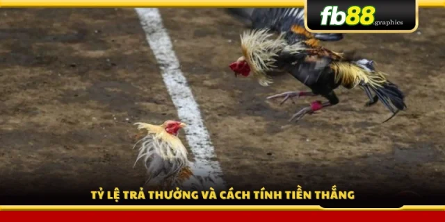 Tỷ lệ trả thưởng chi tiết và công thức tính tiền thắng đá gà FB88