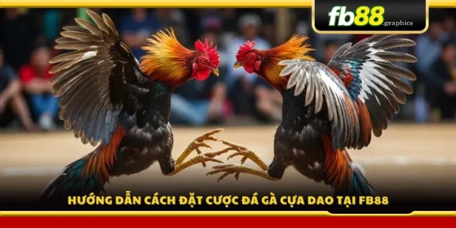 Cách tham gia và đặt cược đá gà cựa dao tại FB88 