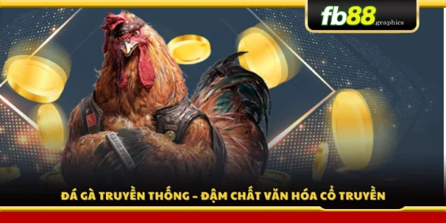 Đá gà truyền thống – Nét đẹp văn hóa lâu đời 