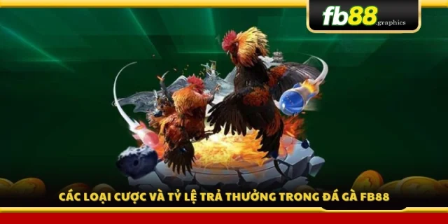 Những kèo cược phổ biến và mức thưởng hấp dẫn