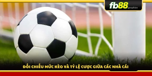 So sánh bảng tỷ lệ cá cược của nhiều nền tảng